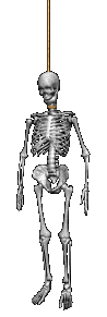 Hanging Skeleton